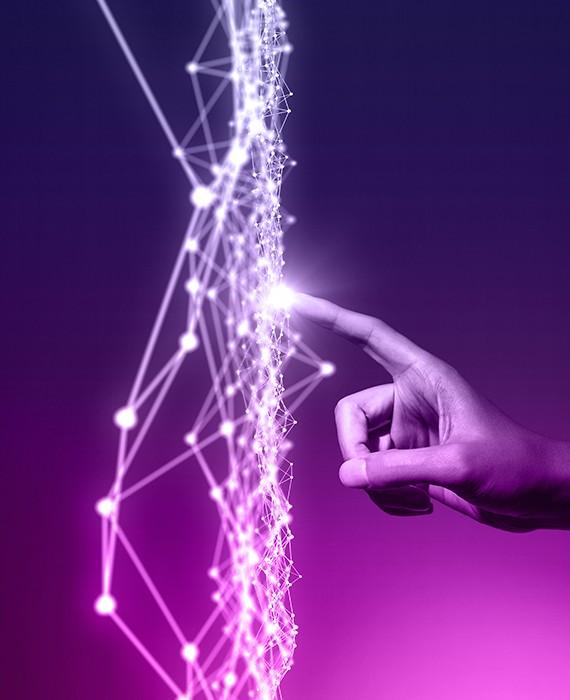 Extensive expertise 1